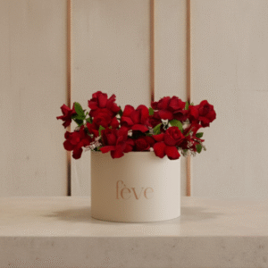 A cream-colored cylindrical box with the word “fève” in rose-gold lettering holds an arrangement of deep red roses accented with small white filler flowers and green leaves.