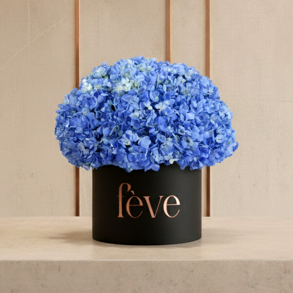 A black cylindrical box with the word “fève” in rose-gold lettering is filled with a large, rounded arrangement of vibrant blue hydrangeas.